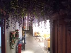 -Cocodemer 产后恢复中心(多伦路店)