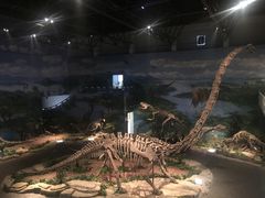 -自贡恐龙博物馆