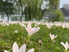 -眉山湿地公园(东坡区)