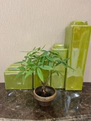 -斐研美医疗美容·眼周抗衰中心