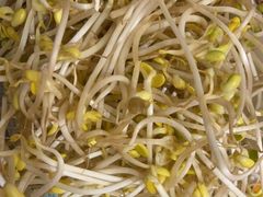-堂客老火锅(欣阳广场总店)