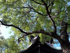 -白帝城·瞿塘峡景区