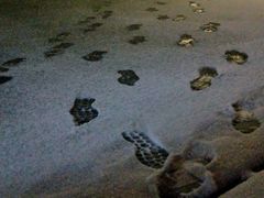 -海底捞火锅(长沙华创国际广场店)