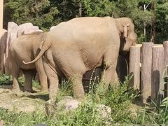 -沈阳森林动物园