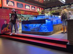 -鸽子侯·家宴·平价海鲜(绿地店)