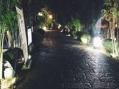 -崇阳三特浪口温泉