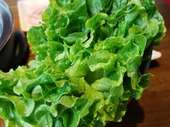 生菜-探牛东北烧烤·铁锅炖大鹅(深圳总店)