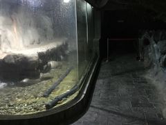 -苏州海洋馆