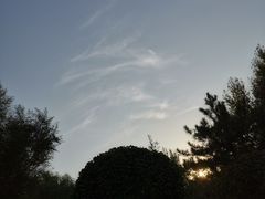 -莫子山公园