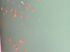 -百魔洞景区