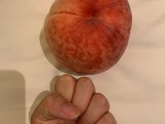 -油麻地果栏