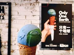 燕麦地球-Dal Cuore 达可芮冰淇淋(陕西北路店)
