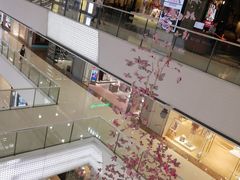 -万达广场(松江店)