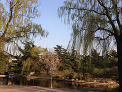 iphone_upload_pic-济南南郊宾馆