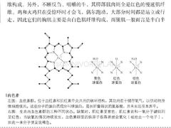 -幸福饭店(佛山路东段店)