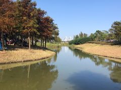 -春花秋色城市公园