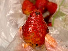 -雪儿钱局泡菜