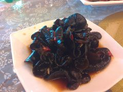 DSC_0905木耳-锦江中华村农家乐饭庄