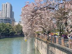 -红星桥(地铁站)
