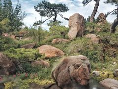 -罗红摄影艺术馆