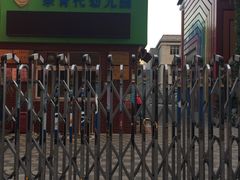 -亲育代幼儿园