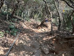 -杭州半山国家森林公园