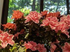 -汇龙潭