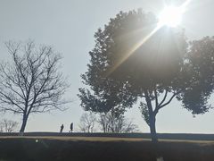 -盘龙城国家考古遗址公园