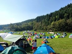 -武陵山森林公园