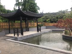 -雨花胜境