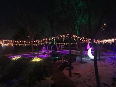 -枫花园汽车电影院(朝阳公园店)