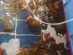 -79号渔船海鲜饭店(华强北店)