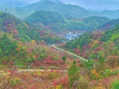 -四明山国家森林公园
