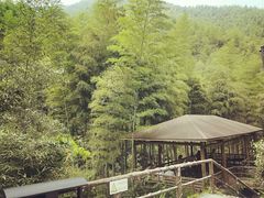 -山沟沟景区