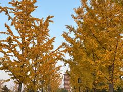 -西海子公园