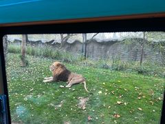 -北京野生动物园