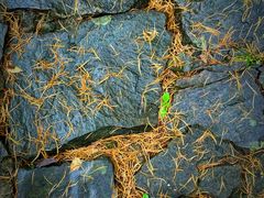 -宁波五龙潭景区