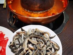 -东来顺铜锅炭火涮肉(上地华联店)