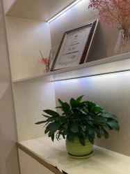 -CICI纤美·科技纤体美颜