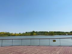 -东郊湿地公园