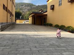 -冶父山国家森林公园
