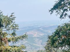-冶父山国家森林公园