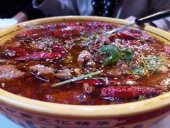 -熊猫川菜馆 panda chine