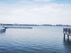 -鹅湖玫瑰文化园