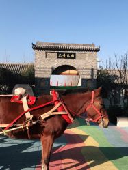 -塔元庄景区