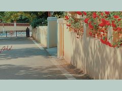 -八大关景区