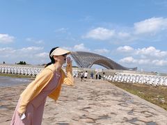 -南汇嘴观海公园