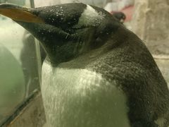 -大连圣亚海洋世界