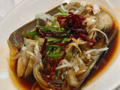 油泼特大蛏子-开海·红岛海鲜虾水饺(石老人店)