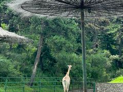 -沈阳森林动物园